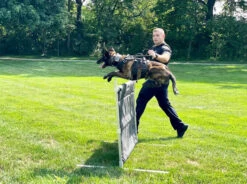 IGP/IPO/Schutzhund Aluminum Deluxe Hurdle Jump -Vetdiet Shop 109020 50 31311.1664373987