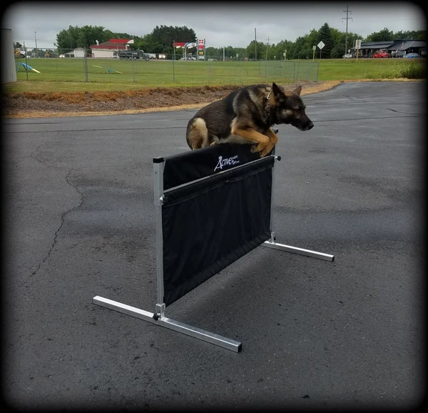 IPO/IGP/Schutzhund Aluminum Pendel Hurdle Jump 5 IPO/IGP/Schutzhund Aluminum Pendel Hurdle Jump - Image 3