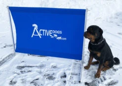 IGP/IPO/Schutzhund Aluminum Standard Hurdle Jump 18 IGP/IPO/Schutzhund Aluminum Standard Hurdle Jump -Vetdiet Shop 109022 6 full 91710.1655118299