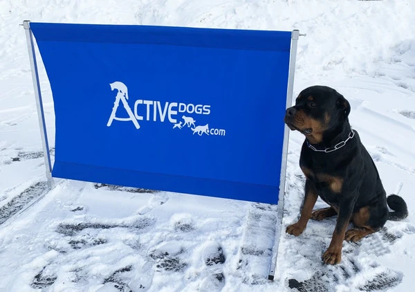 IGP/IPO/Schutzhund Aluminum Standard Hurdle Jump 9 IGP/IPO/Schutzhund Aluminum Standard Hurdle Jump - Image 8