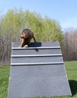 IGP/IPO/Schutzhund Scaling Wall A-Frame -Vetdiet Shop 109030 21A full 56829.1653998053