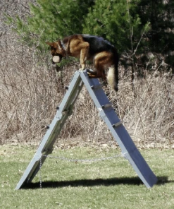 IGP/IPO/Schutzhund Scaling Wall A-Frame -Vetdiet Shop 109030 3A full 90509.1653998053