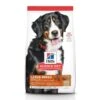 Hill's Science Diet Adult Large Breed Lamb Meal & Brown Rice Dry Dog Food -Vetdiet Shop 12430 1580140993