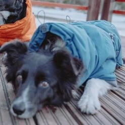 Hurtta Bare Winter Jacket Storm 15 Hurtta Bare Winter Jacket Storm -Vetdiet Shop 186541 188196 188197 188198 188199 188200 188201 hurtta zooplus bare winterjacke storm hs 07 2