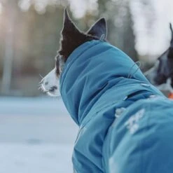 Hurtta Bare Winter Jacket Storm 14 Hurtta Bare Winter Jacket Storm -Vetdiet Shop 186541 188196 188197 188198 188199 188200 188201 hurtta zooplus bare winterjacke storm hs 08 6