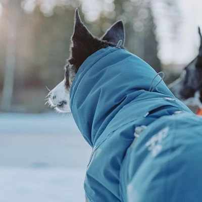 Hurtta Bare Winter Jacket Storm 7 Hurtta Bare Winter Jacket Storm - Image 5