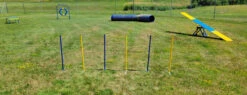 Agility Competition Weave Poles - Plus 2x2 Training System -Vetdiet Shop 20220801 151303 77898.1660248954