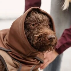 Hurtta Bare Softshell Dog Coat - Chocolate -Vetdiet Shop 247796 247797 247896 247897 247898 247899 bestfriend hurtta bare softshell hundejacke chocolate hs 13 6