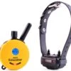 Mini Educator Remote Dog Trainer ET-300