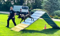 Agility A-Frame Aluminum/Wood 15 Agility A-Frame Aluminum/Wood -Vetdiet Shop 3505270 20 11222.1664373862