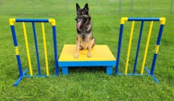 Agility Free Standing Wings -Vetdiet Shop 350774 4 full 68231.1638911525