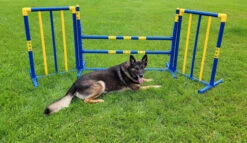 Agility Free Standing Wings -Vetdiet Shop 350774 6 full 02496.1638911528