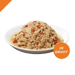 Purina Pro Plan Savor Adult Chicken Entree With Tomatoes Braised In Gravy Canned Cat Food -Vetdiet Shop 36176 1570549391