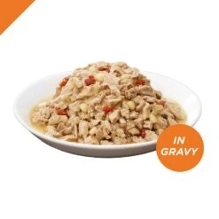 Purina Pro Plan Savor Adult Chicken, Tomato & Pasta Entree In Gravy Canned Cat Food -Vetdiet Shop 36198 1570546384