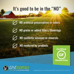 Vital Essentials Grain Free Beef Mini Nibs Entree Freeze-Dried Raw Dog Food -Vetdiet Shop 38150 1614715154 261382eb 5507 4923 a3f7 b4d148c6a80b