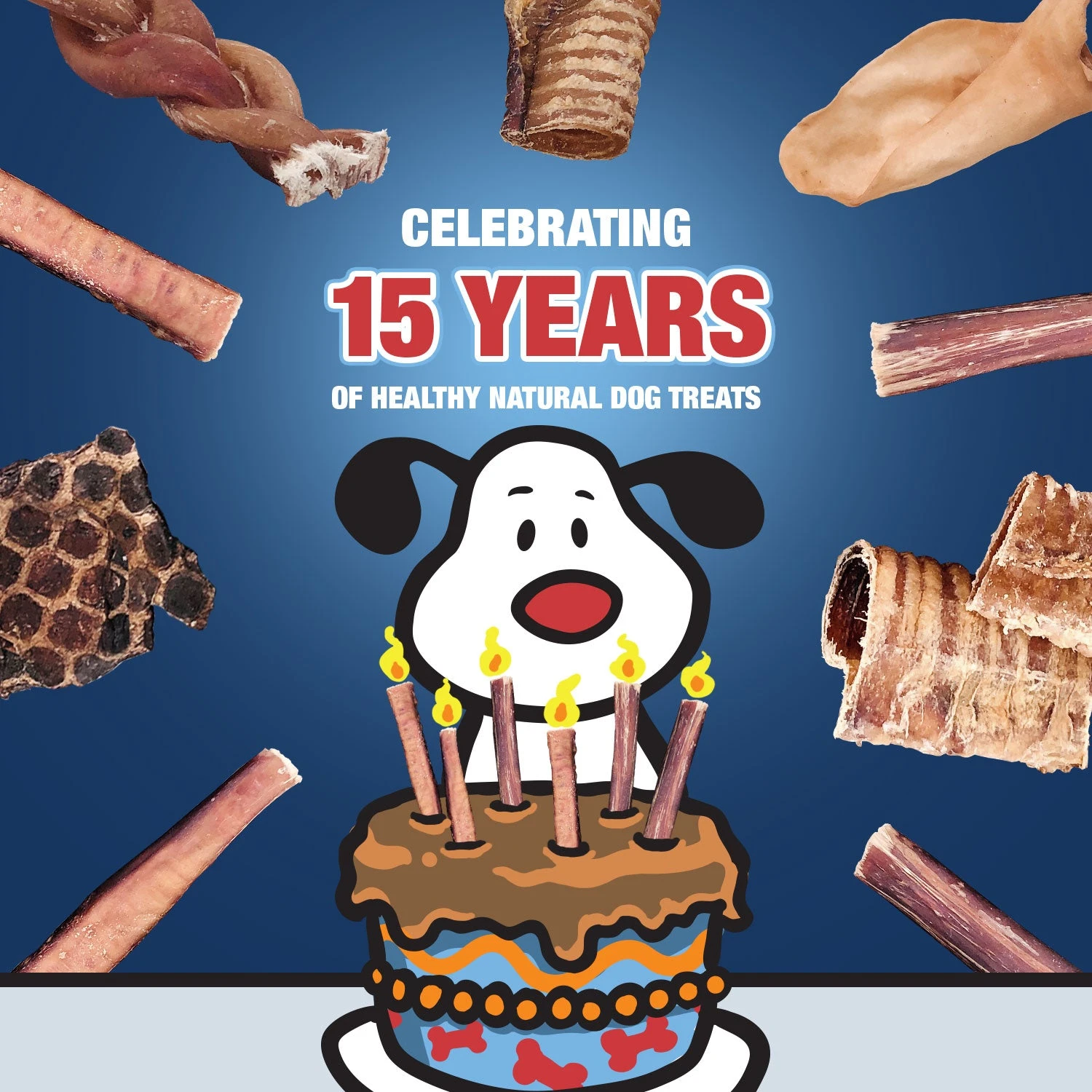 ValueBull USA Bully Sticks For Small Dogs, Thin 6 Inch, Odor Free, 200 Count 5 ValueBull USA Bully Sticks For Small Dogs, Thin 6 Inch, Odor Free, 200 Count - Image 5