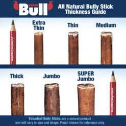 ValueBull USA Bully Sticks For Small Dogs, Thin 6 Inch, Odor Free, 200 Count 11 ValueBull USA Bully Sticks For Small Dogs, Thin 6 Inch, Odor Free, 200 Count -Vetdiet Shop 56193935 2ddd445b f46c 4418 9dae a3930f60bf22
