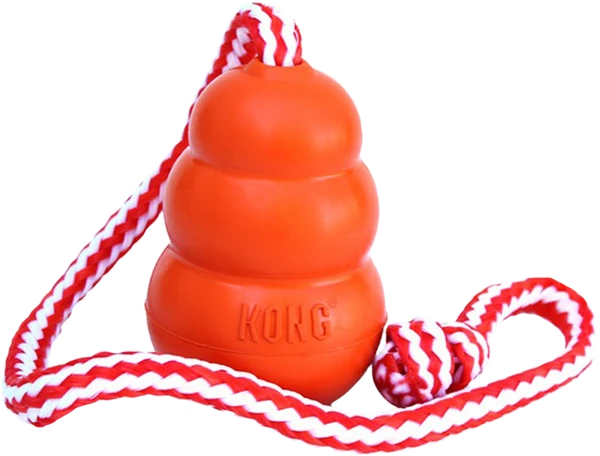 Kong Aqua Toy - Large 2 Kong Aqua Toy - Large