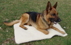 Vetdiet Shop -Vetdiet Shop 602110 2A full 13368.1638911422