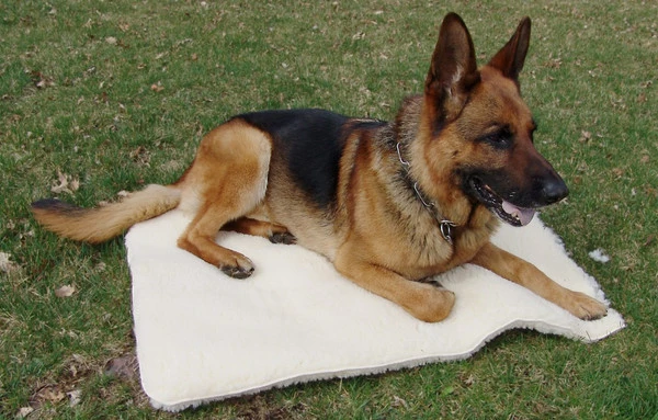 Hi-Loft Sherpa Mats And Rolls 4 Hi-Loft Sherpa Mats And Rolls - Image 2