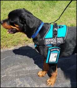 Clip-On Service Dog ID Pouch -Vetdiet Shop 701228 4 full 84443.1638911520