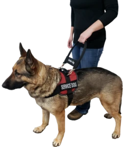 12" Nylon Clip-on Bridge Handle W/Service Dog ID Band -Vetdiet Shop 7075556 151 full 80390.1638911512
