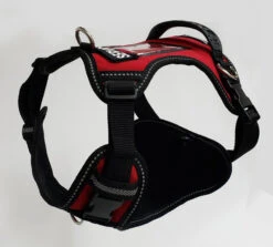 No Pull Service Dog Harness - Front-Range -Vetdiet Shop 707578 14 full 15521.1647865607
