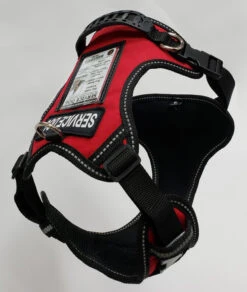 No Pull Service Dog Harness - Front-Range -Vetdiet Shop 707578 15 full 11619.1647865607