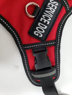 No Pull Service Dog Harness - Front-Range -Vetdiet Shop 707578 7 full 53588.1647865607