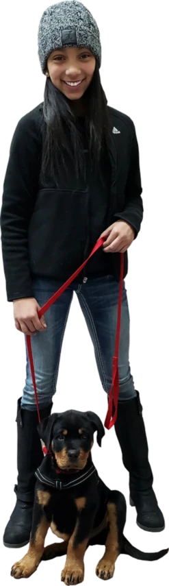 Service Dog Mesh Or Padded Air-Tech Vest 33 Service Dog Mesh Or Padded Air-Tech Vest -Vetdiet Shop 707643 100 full 12019.1649066682