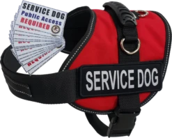 Service Dog Mesh Or Padded Air-Tech Vest