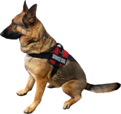 Service Dog Mesh Or Padded Air-Tech Vest 23 Service Dog Mesh Or Padded Air-Tech Vest -Vetdiet Shop 707643 2M full 40954.1649066682