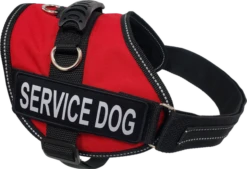 Service Dog Mesh Or Padded Air-Tech Vest 24 Service Dog Mesh Or Padded Air-Tech Vest -Vetdiet Shop 707643 3C full 80815.1649066682