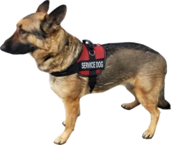 Service Dog Mesh Or Padded Air-Tech Vest 27 Service Dog Mesh Or Padded Air-Tech Vest -Vetdiet Shop 707643 4M full 77042.1649066682