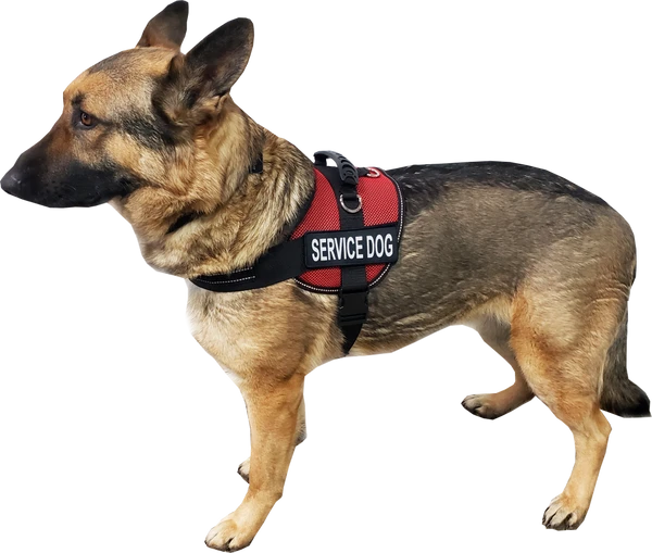 Service Dog Mesh Or Padded Air-Tech Vest 10 Service Dog Mesh Or Padded Air-Tech Vest - Image 8