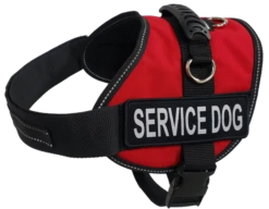 Service Dog Mesh Or Padded Air-Tech Vest 34 Service Dog Mesh Or Padded Air-Tech Vest -Vetdiet Shop 707643 8C full 42526.1649066682