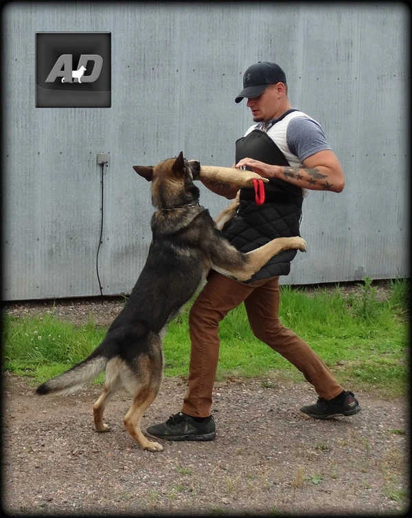 Fabric Scratch Apron 4 Fabric Scratch Apron - Image 2