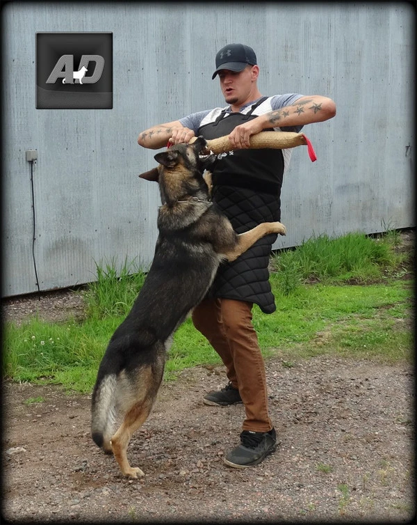 Fabric Scratch Apron 5 Fabric Scratch Apron - Image 3