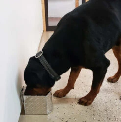 Aluminum Spill Proof Dog Bowls -Vetdiet Shop 992059 150 full 97630.1644842020