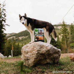 Only Natural Pet Raw Blends Chicken And Poultry Feast Raw Grain Free Dog Food -Vetdiet Shop BF6A0051