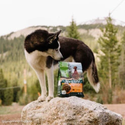 Only Natural Pet Raw Blends Chicken And Poultry Feast Raw Grain Free Dog Food -Vetdiet Shop BF6A0058