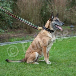 Black-Neon Leash Without Handle -Vetdiet Shop Black neon 03