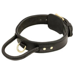2 Ply Leather Agitation Dog Collar