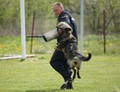 Dingo Gear -JUTE Sleeve Cover 8 Dingo Gear -JUTE Sleeve Cover -Vetdiet Shop DGJUTESleeveCover02