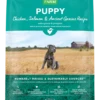 Open Farm Ancient Grains Puppy Dry Dog Food 2 Open Farm Ancient Grains Puppy Dry Dog Food -Vetdiet Shop PDP Images DryDog AG Main 2023 PUPPY FOP 548x768 crop center fd99a22e b071 46c1 8dc9 e6836353fa85