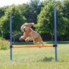 Fun Agility Hurdle, Plastic -Vetdiet Shop PHO PRO DOG 3207 1