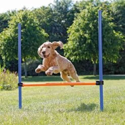 Fun Agility Hurdle, Plastic