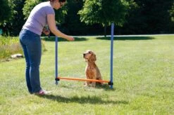 Fun Agility Hurdle, Plastic -Vetdiet Shop PHO PRO DOG 3207 6