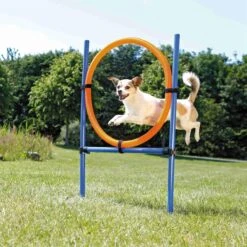 Fun Agility Ring, Plastic