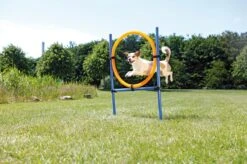 Fun Agility Ring, Plastic -Vetdiet Shop PHO PRO DOG 3208 3